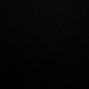 Meet your Posher, Ingrid